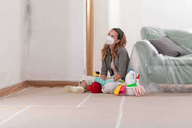Reliable Mold Remediation contractor in Plano, TX by Car Mold Remediation